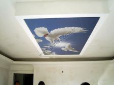 13933367324551420711842872684