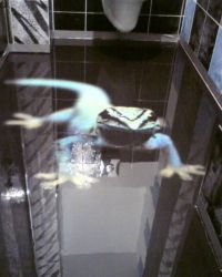 1393337585733761335299965212